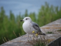 17_traveler_photography_course_1_0751