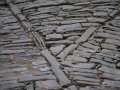 20_traveler_photography_course_1_0457