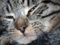 05_macke_2011_0184