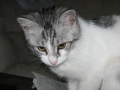 09_macke_2007_1108