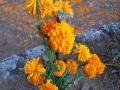 055_dia-de-los-muertos_mexico2011_0725