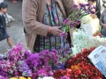 080_guatemala_0094