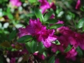 07_nc_2015_0274